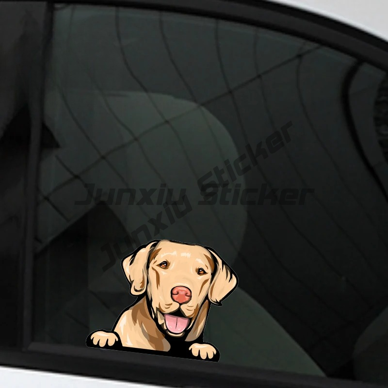 Labrador Retriever Peeker Arab - Yellow Laptop Accessories incelemesi ve fiyatı