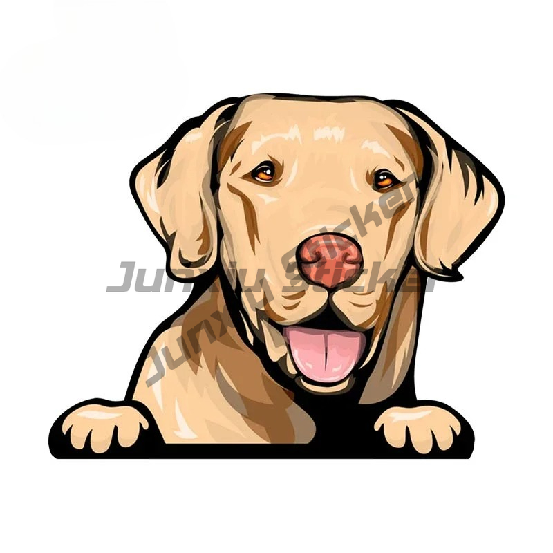 Labrador Retriever Peeker Arab - Yellow Laptop Accessories incelemesi ve fiyatı